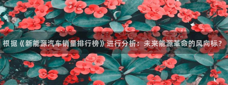 新宝gg佣金：根据《新能源汽车销量排行榜
