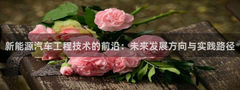 新宝GG官方域名：新能源汽车工程技术的前