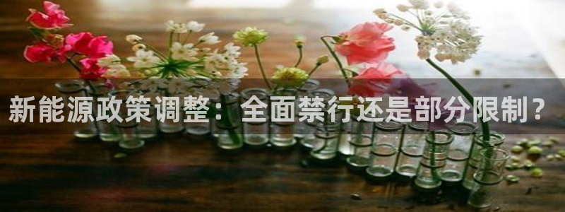 新宝gg.：新能源政策调整：全面禁行还是