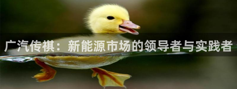 宝GG账78778新宝GG俪78778