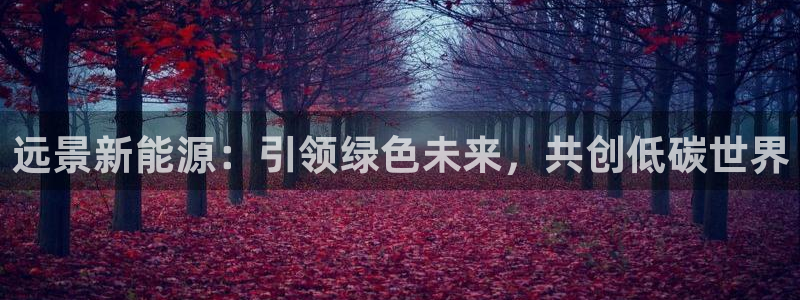 新宝gg招商致胜团队